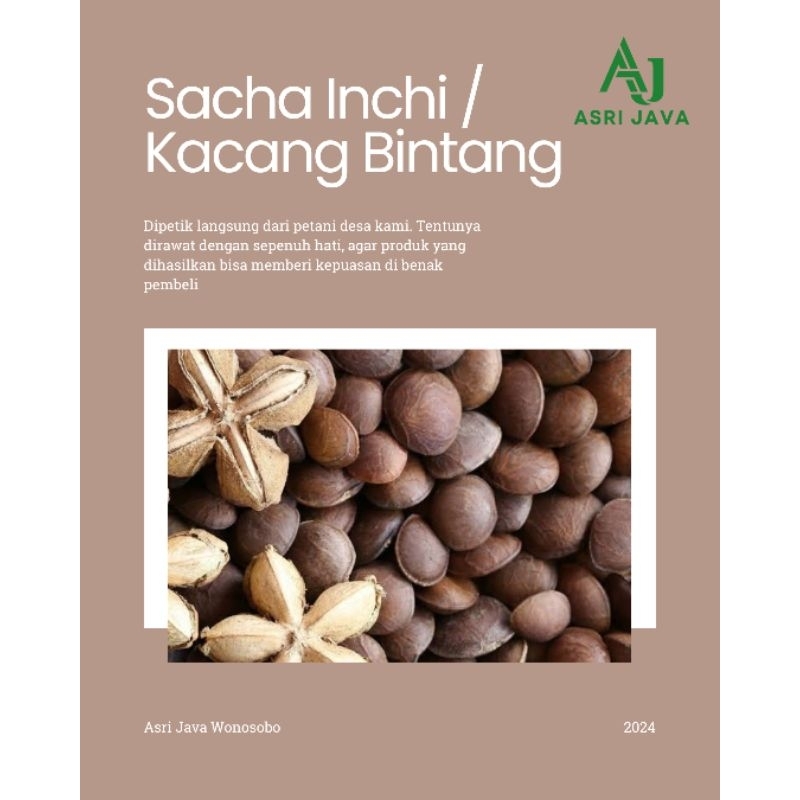 

Kacang Sacha Inchi Kering 500 gr Kara Bintang Lokal Wonosobo