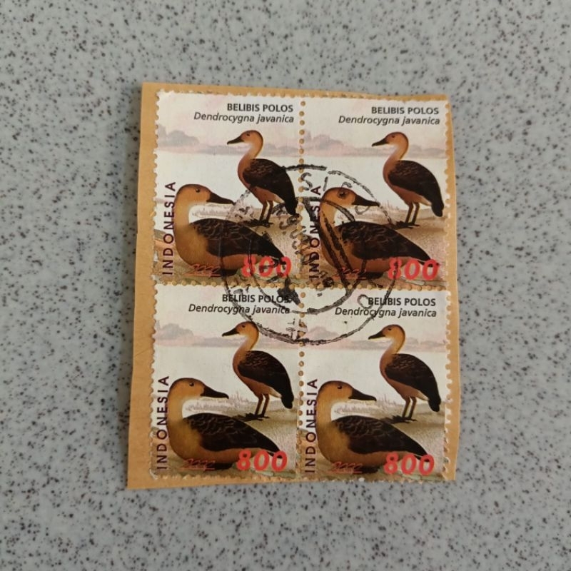 

Perangko used Indonesia seri Aves Unggas 1998 Belibis polos