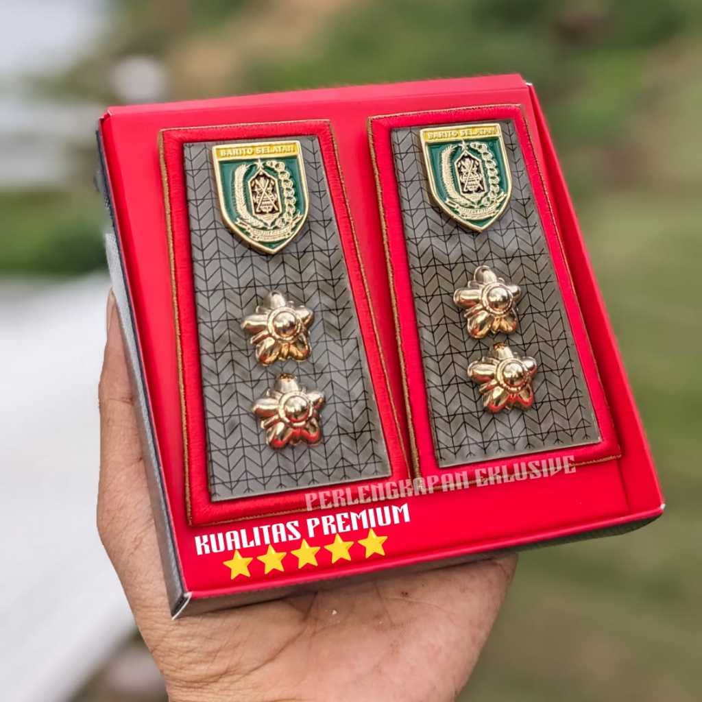 PANGKAT PNS BARITO - PANGKAT ASN BARITO - PANGKAT PNS BARITO 4A - PANGKAT PNS BARITO SELATAN 4A -PNS