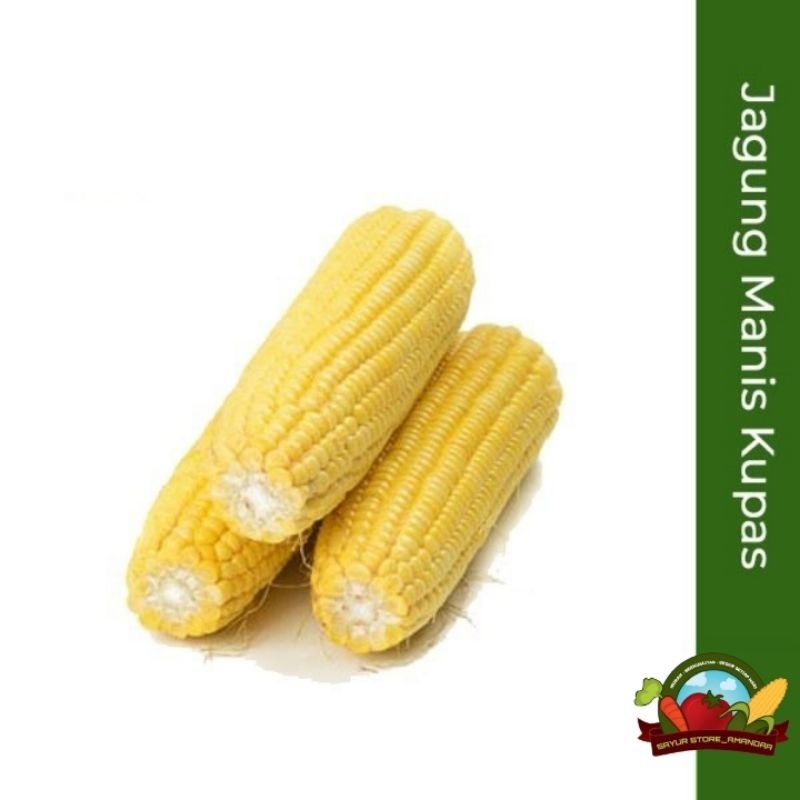 

jagung manis/jagung kupas/jagung bakar/jagung rebus