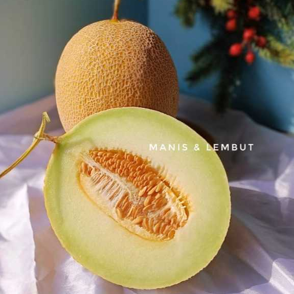 

Melon Hijau Green Manis Juicy Berkualitas - Dolbuah