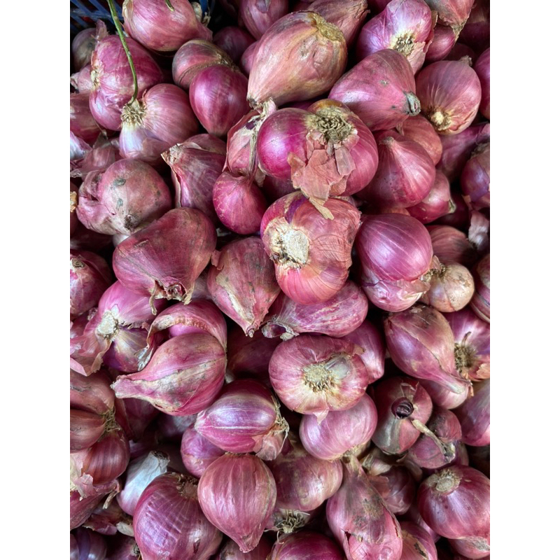 

BAWANG MERAH/PUTIH