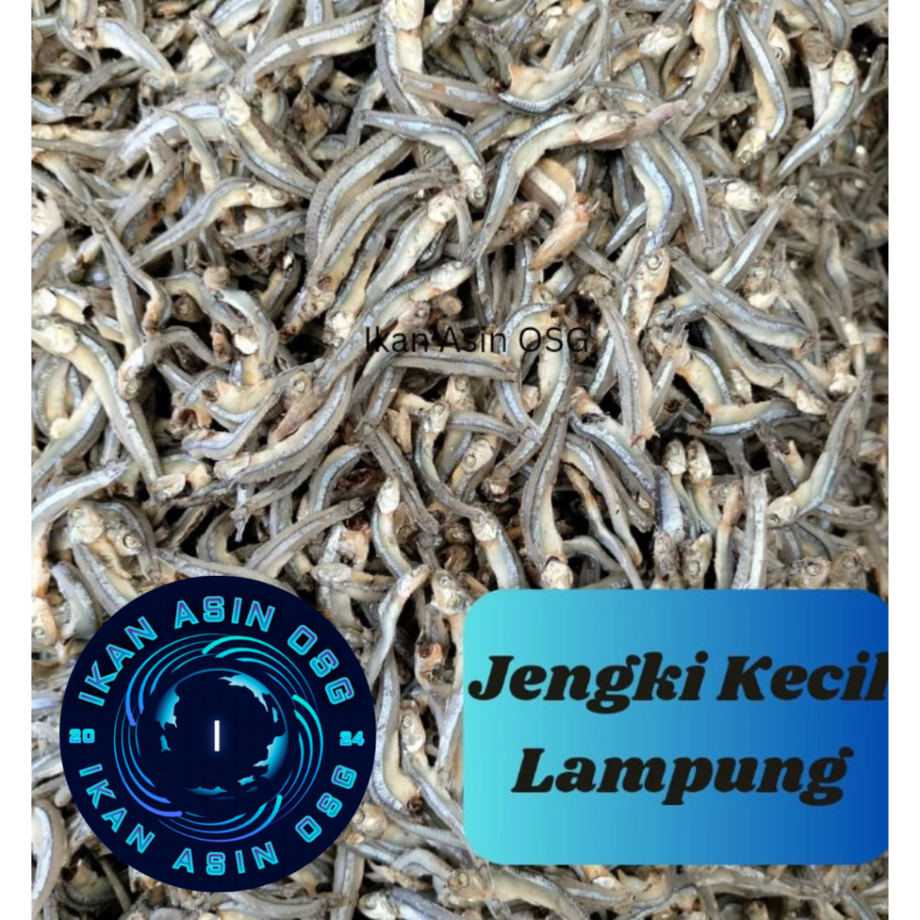 

Ikan Asin Teri Jengki Kecil Lampung size 3-4cm