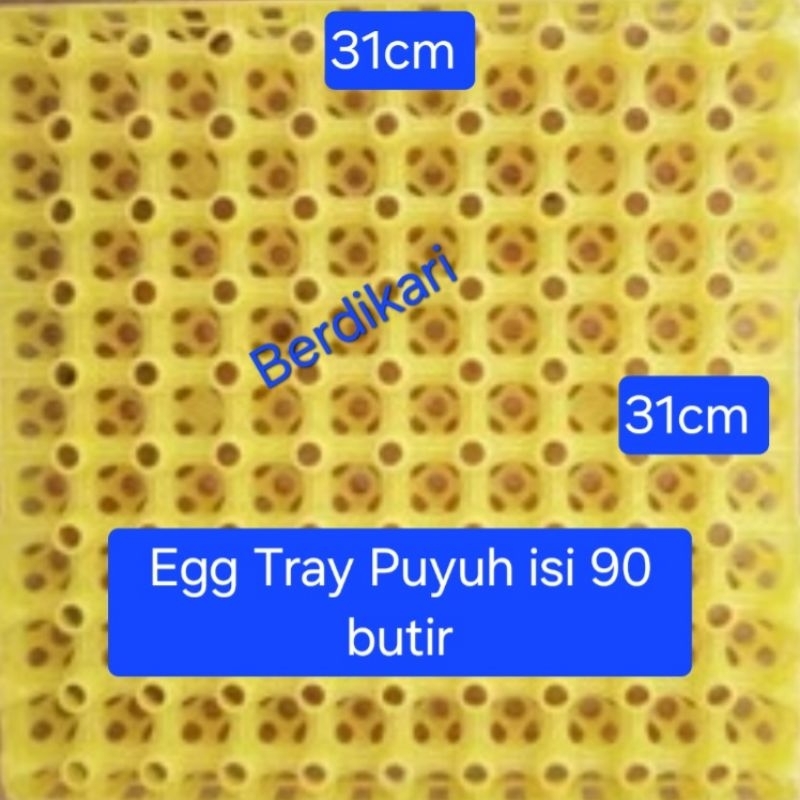 Rak Telur Puyuh Egg Tray isi 90 pcs