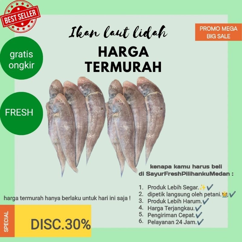 

promo termurah ikan laut lidah fresh segar di tangkap langsung oleh nelayan,belanja setiap hari ikan lebih fresh dan dipastikan bersih ready stok siap kirim gratis ongkir