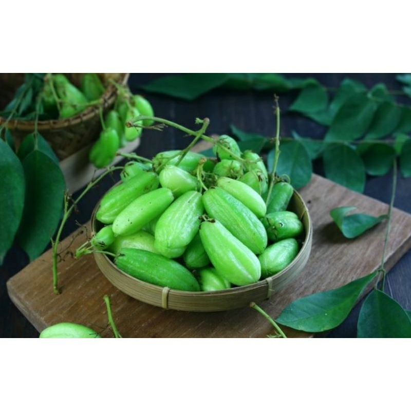 

belimbing wuluh 1bks ready