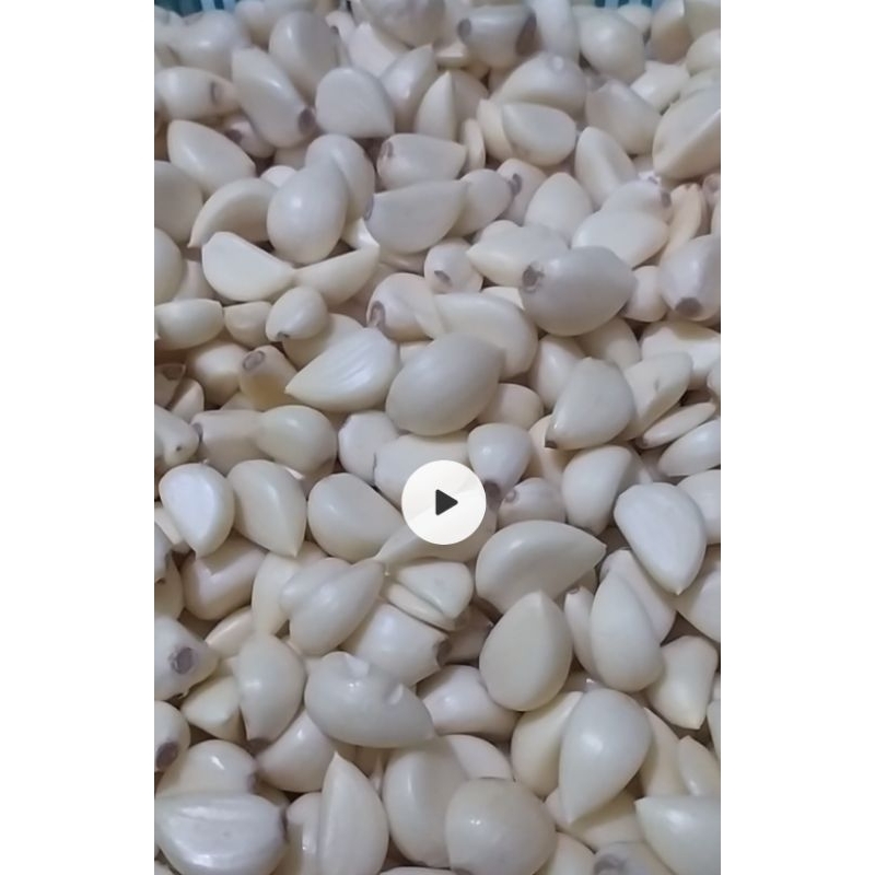 

Bawang Putih Kupas jenis Kating 5 kg