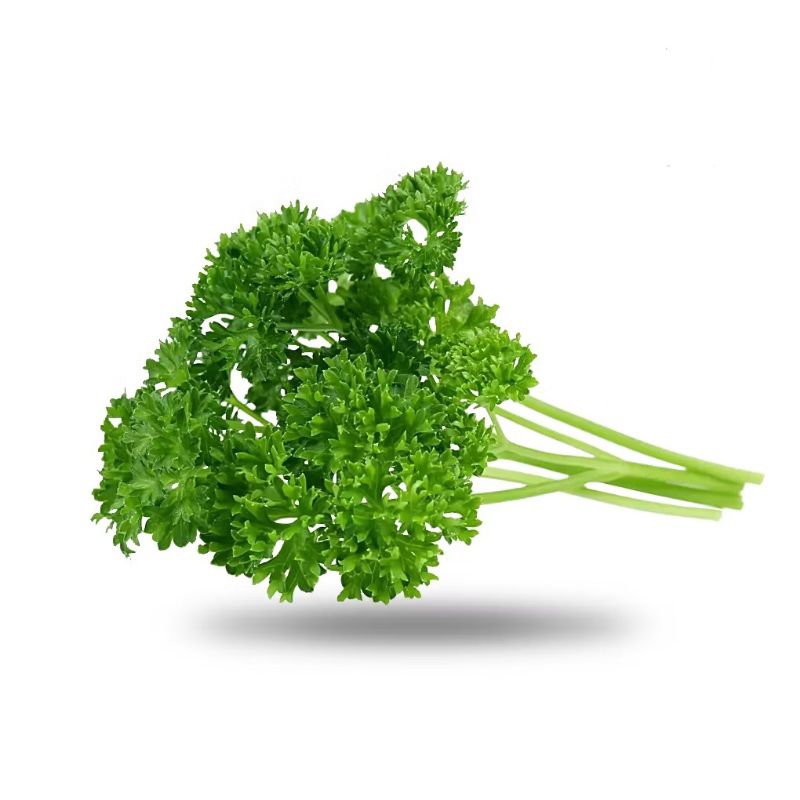 

Parsley Daun Segar Petercelly/ PeterCeli 50gr