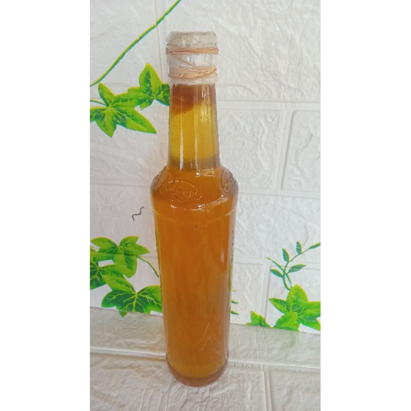 

madu lebah asli hutan