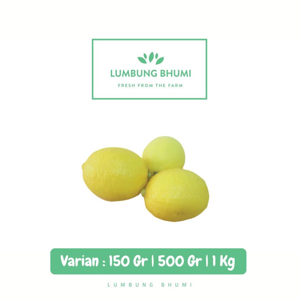 

Jeruk Lemon Impor Cina Buah - Lumbung Bhumi