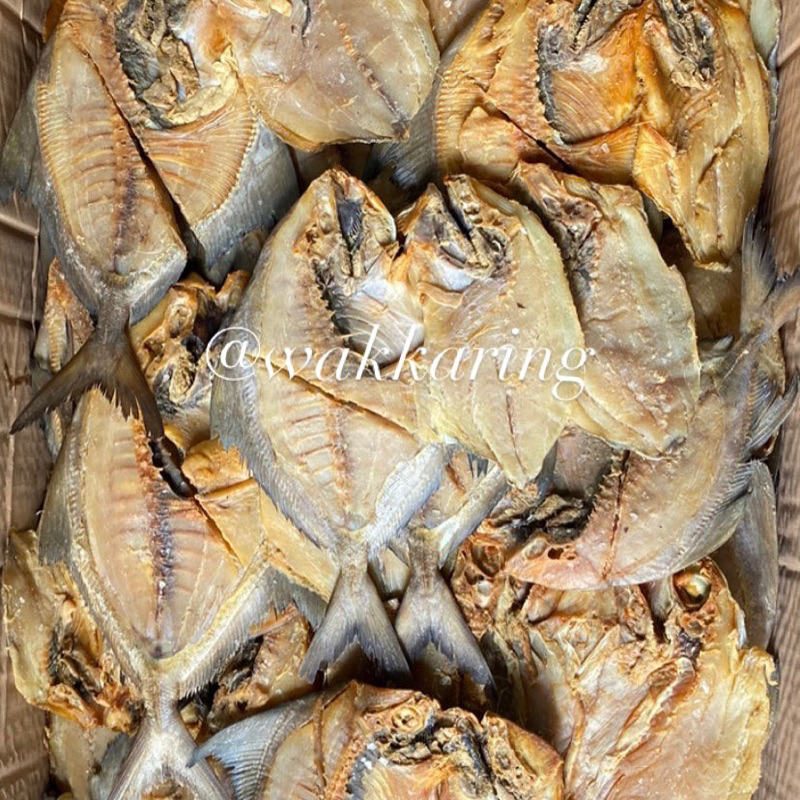 

IKAN ASIN BAWAL LAUT