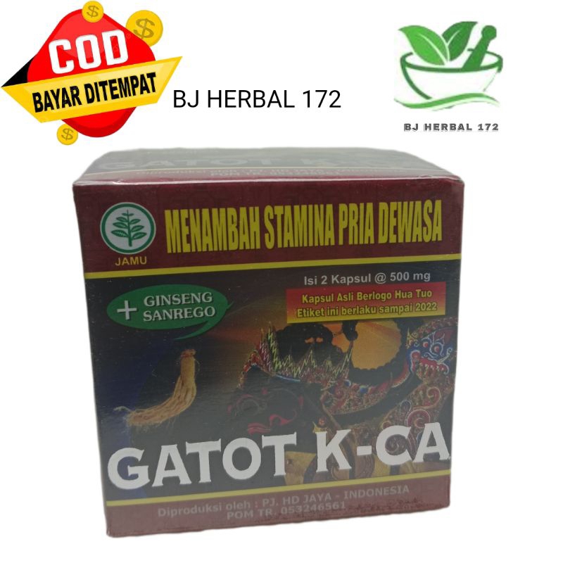 Gatot kaca kapsul original