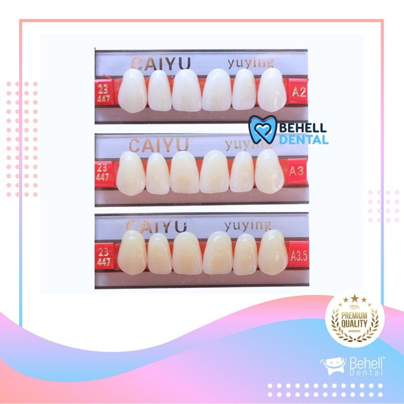 1 Papan/Strip Isi 6 Butir GIGI PALSU MERK CAIYU YUYING  Depan Atas Bawah - Anterior Upper Lower - Le