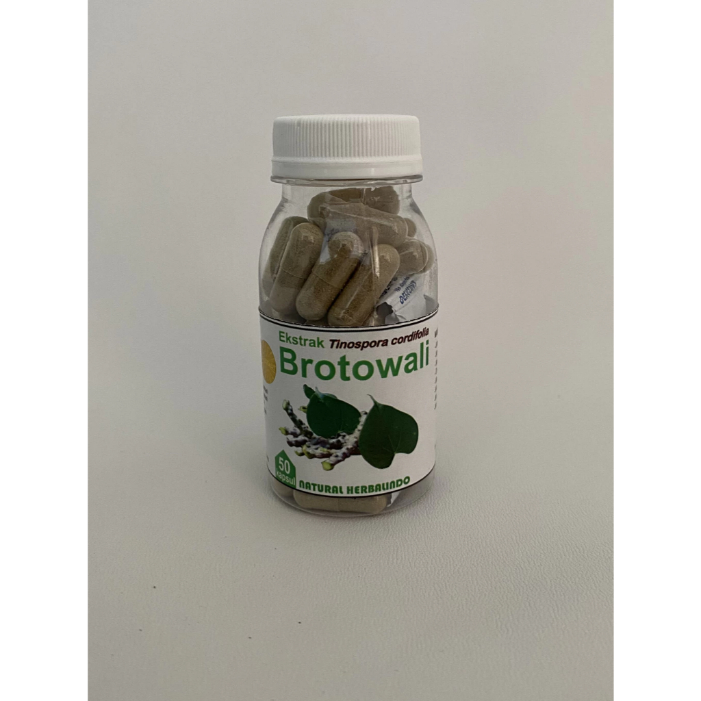 Brotowali obat herbal gatal kulit eksim alergi biduran - 50kapsul