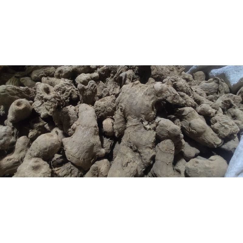 

Jahe Merah•500Gram