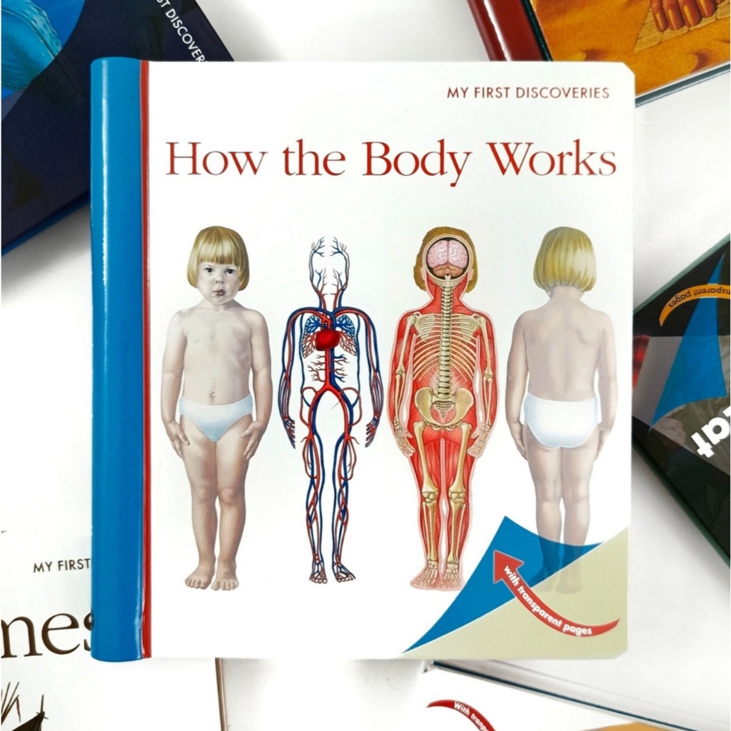 ORIGINAL My First Discoveries Moonlight Publishing - How The Body Works - Leon Books