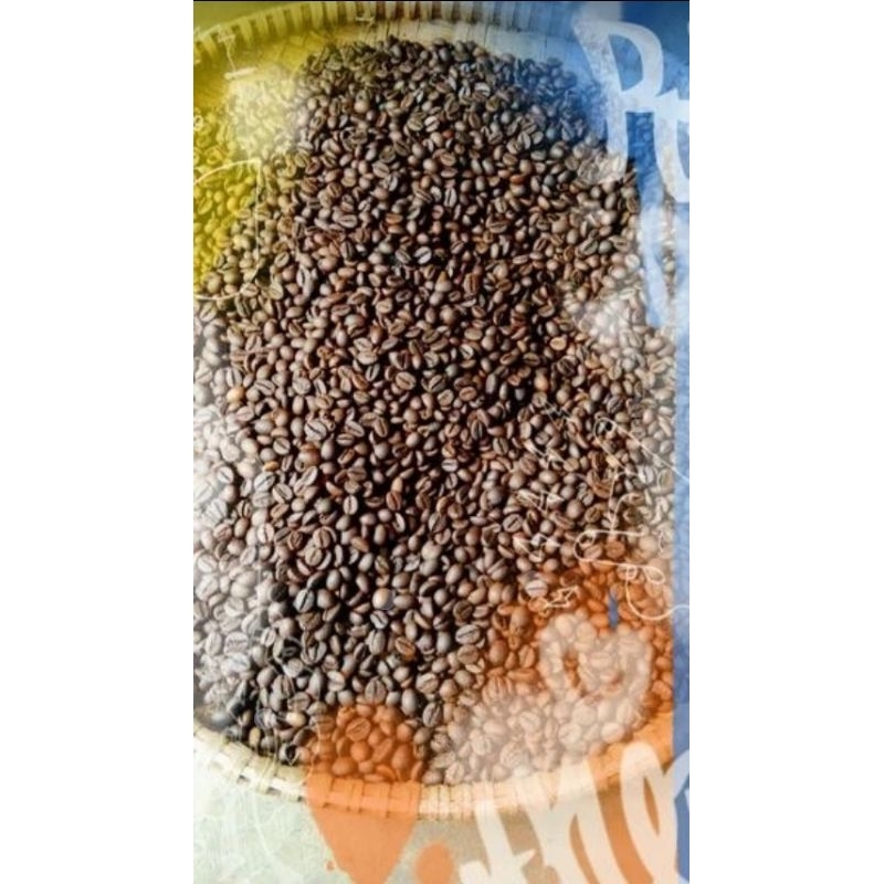 

Kopi kerinci roasted anaerobic MC