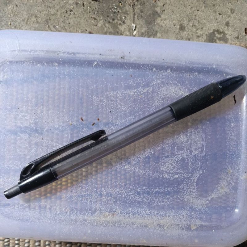

pulpen