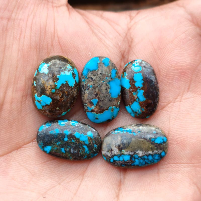 NATURAL PIRUS PERSIA, PIRUS IRAN, PIRUS URAT EMAS