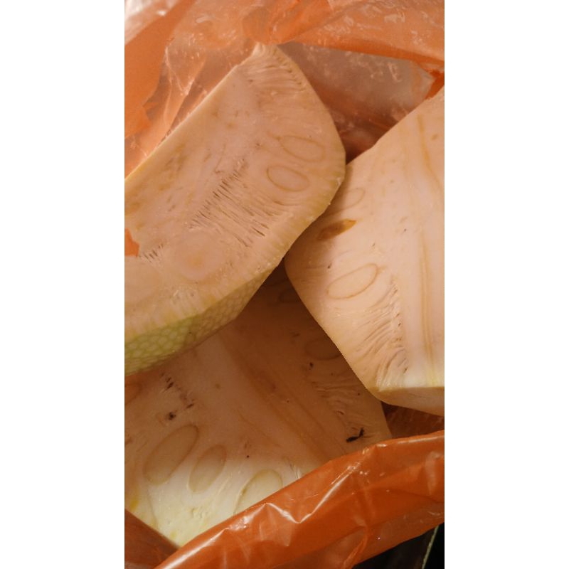 

nangka muda/nangka sayur 500grm