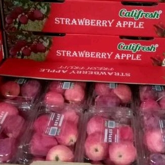 

APEL CERY APEL STROBERY /cup 500GR
