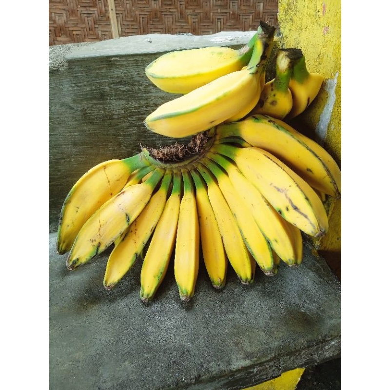 

pisang kepok suluhan