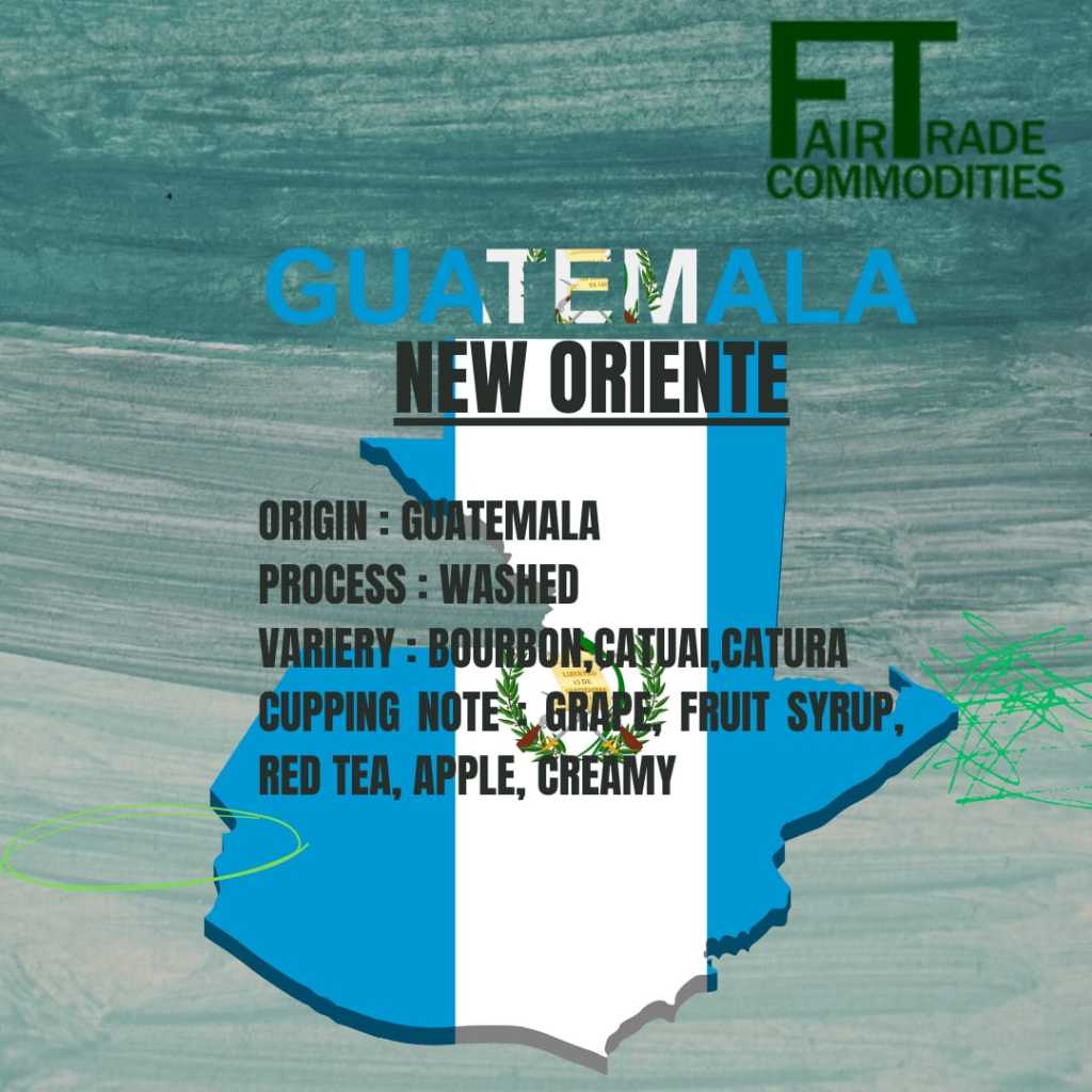 

GUATEMALA NEW ORIENTE || GREEN BEANS || BIJI KOPI MENTAH