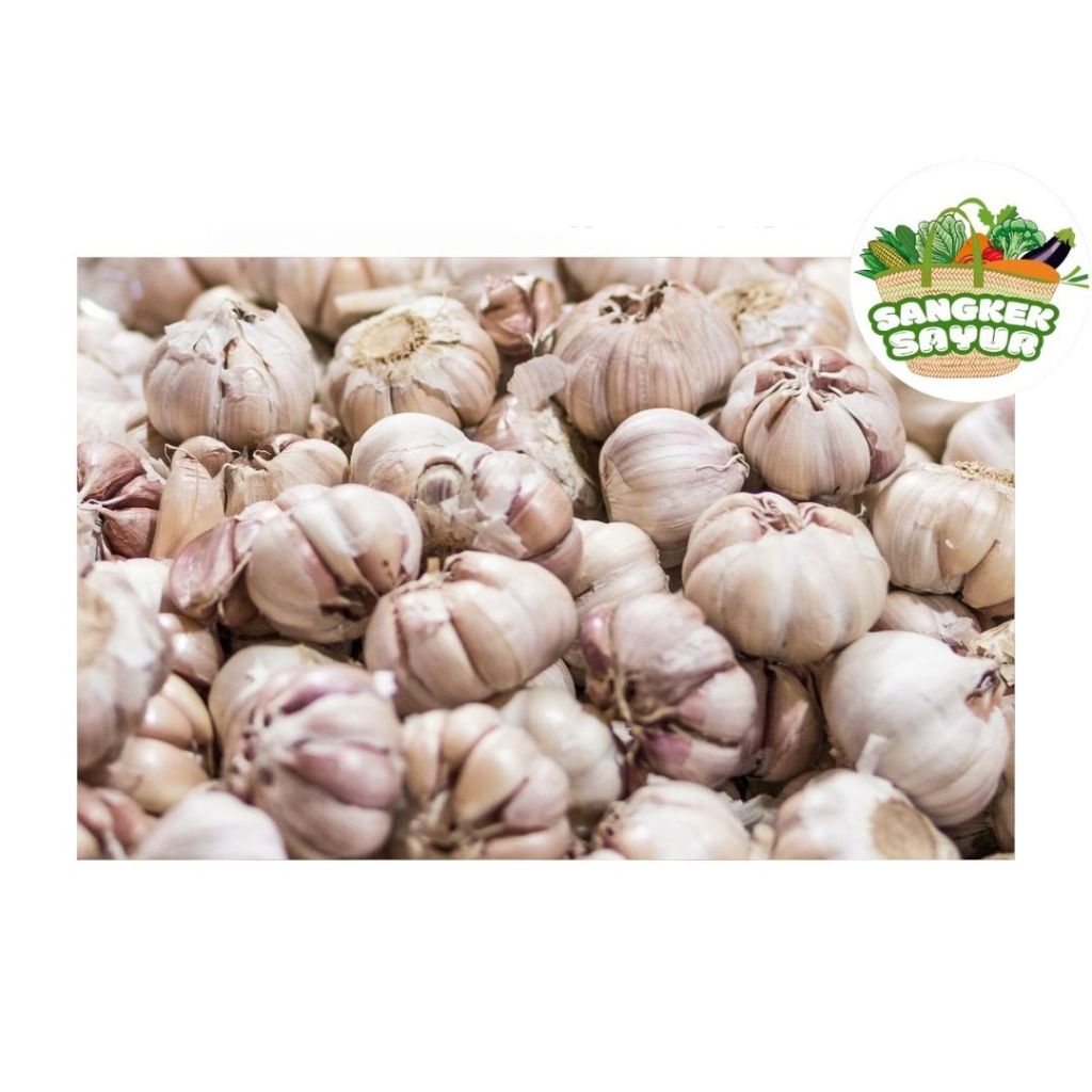 

Bawang Putih - sangkek.sayur PALEMBANG