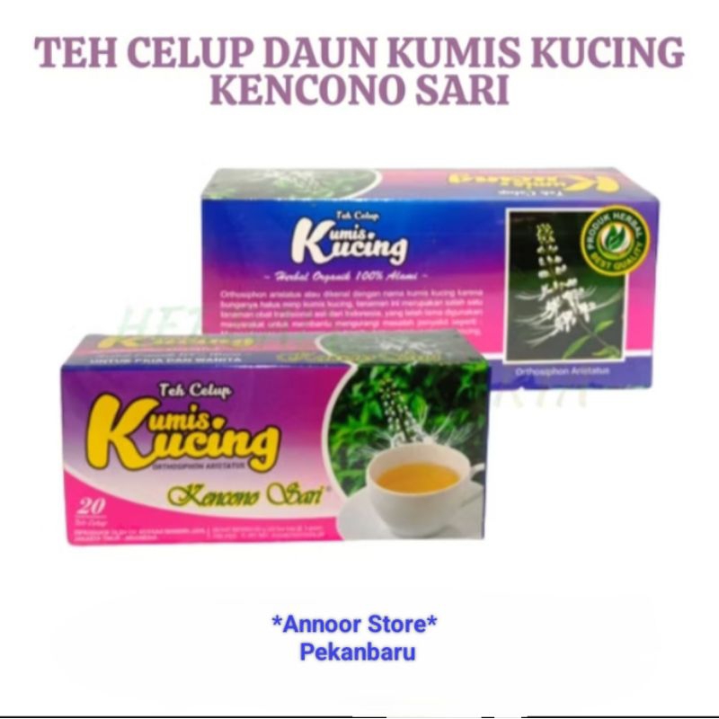 

Teh Celup Daun Kumis Kucing