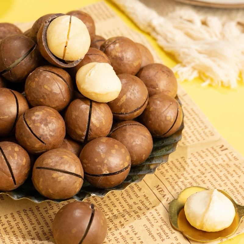 

kacang macadamia