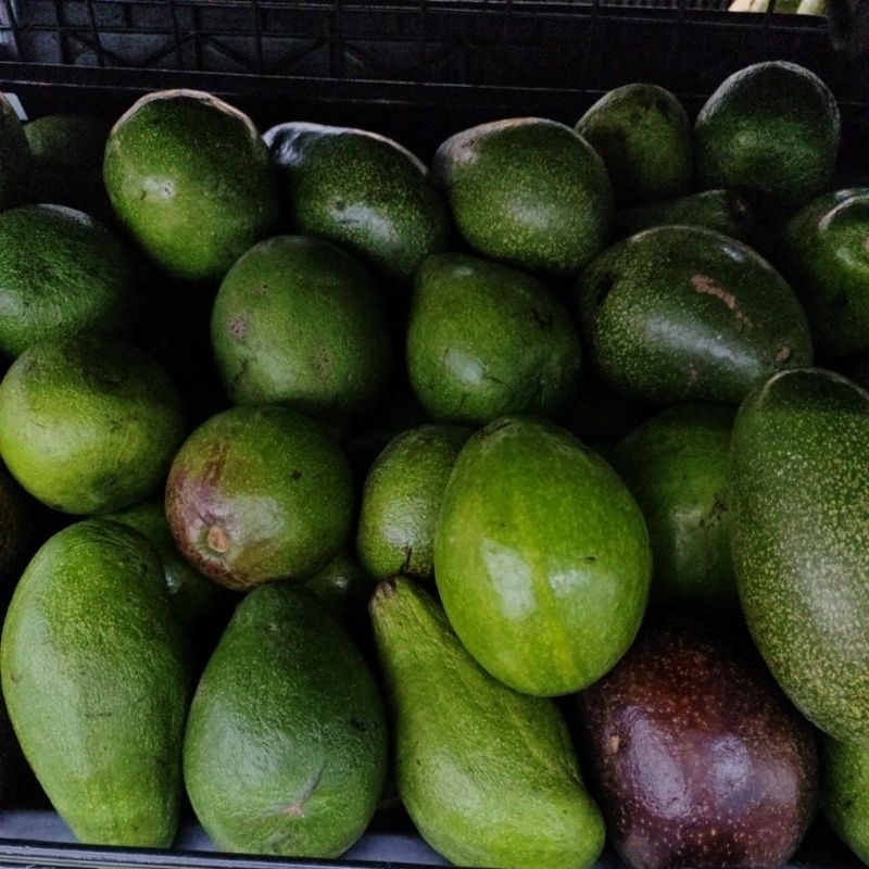 

alpukat, sirsak, nanas