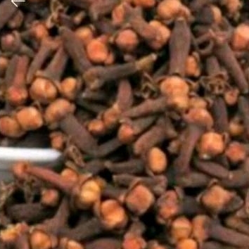 

cengkeh bahan obat herbal