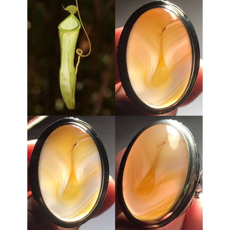 KANTONG SEMAR KANTONG REZEKI AJIB SPECIAL AGEMAN