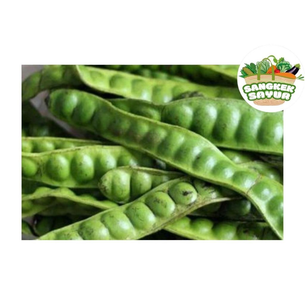 

Petai/Pete per Papan - sangkek.sayur PALEMBANG