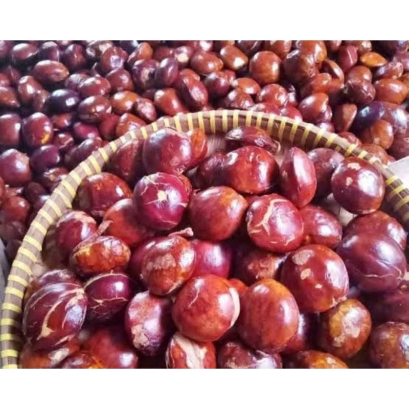 

Jengkol Tua 500-1000gram