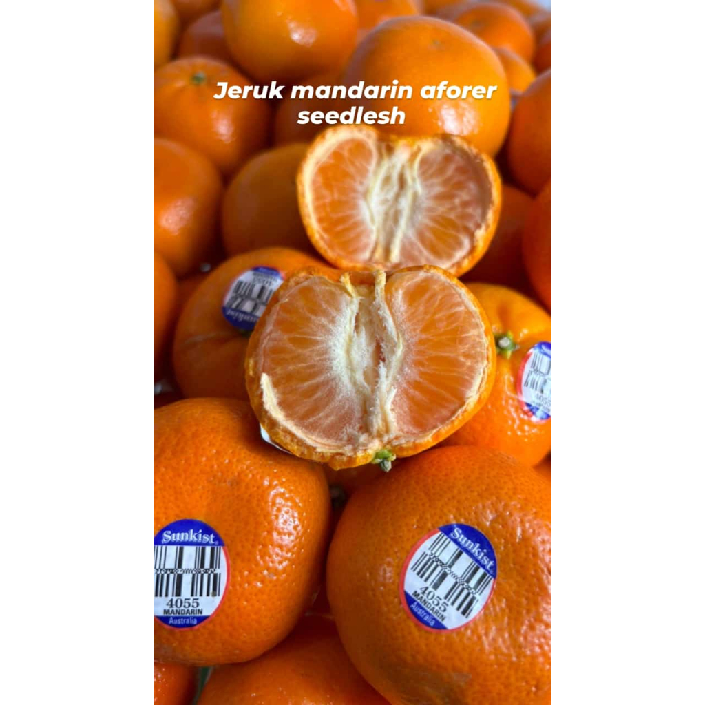 

Jeruk mandarin afourer seedlesh | 500gr| 1kg