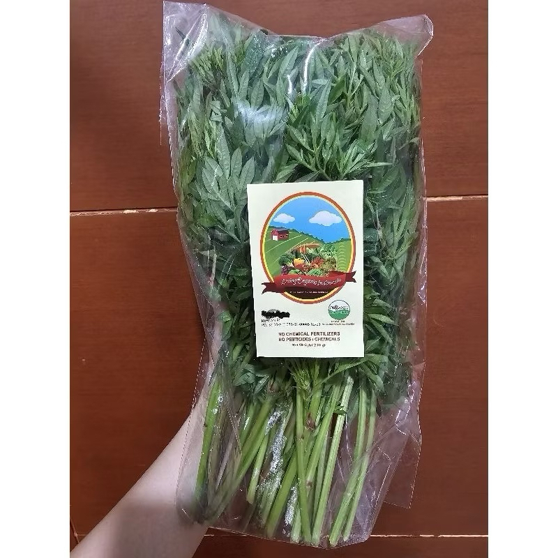 

Daun Kenikir Organik || 200 gr || Sayuran Organik