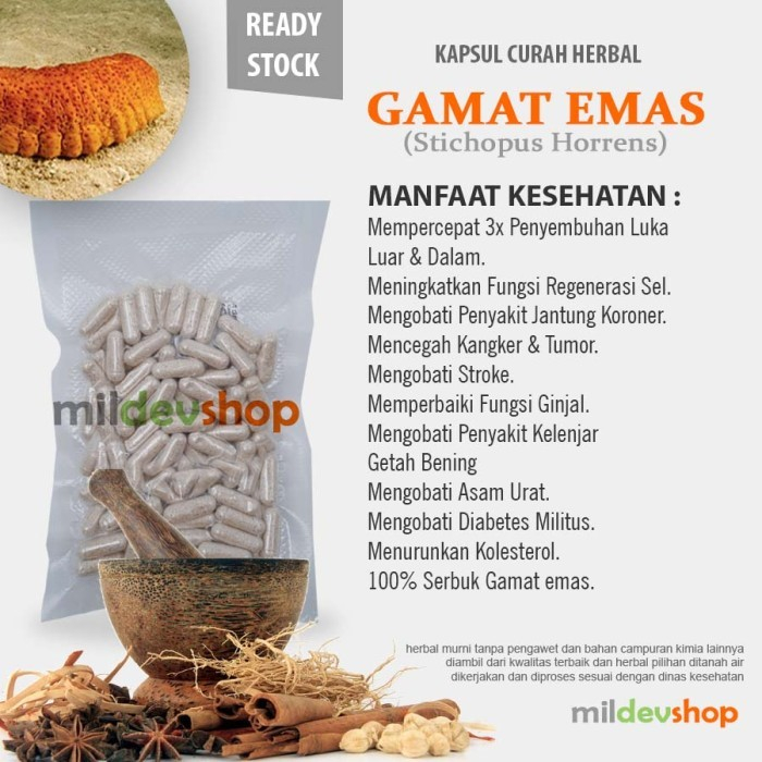 Kapsul Curah GAMAT EMAS Anti Aging Kesuburuan Pria Kanker 100 capsul