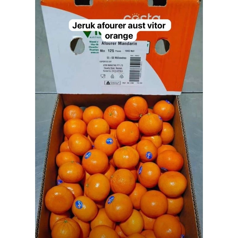 

jeruk afaurer vitor orange/kg