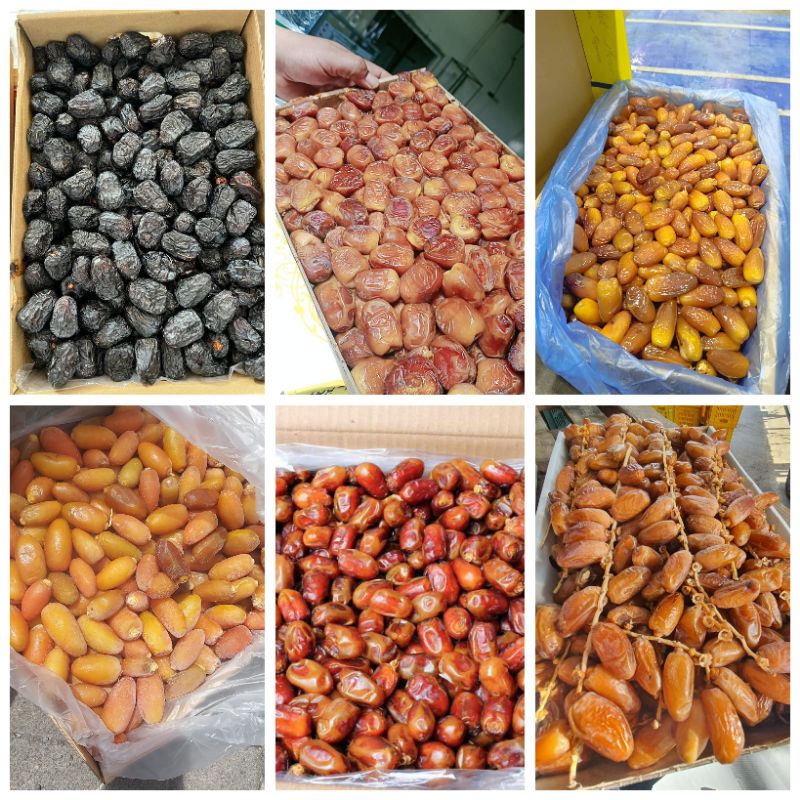 

Aneka Kurma Kemasan Ekonomis 50g Ajwa Sukkari Khalas Tunis Ruthob Zahidi Mesir