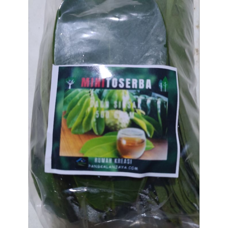 

daun sirsak segar alami 500 gr 100% organik untuk ramuan herbal