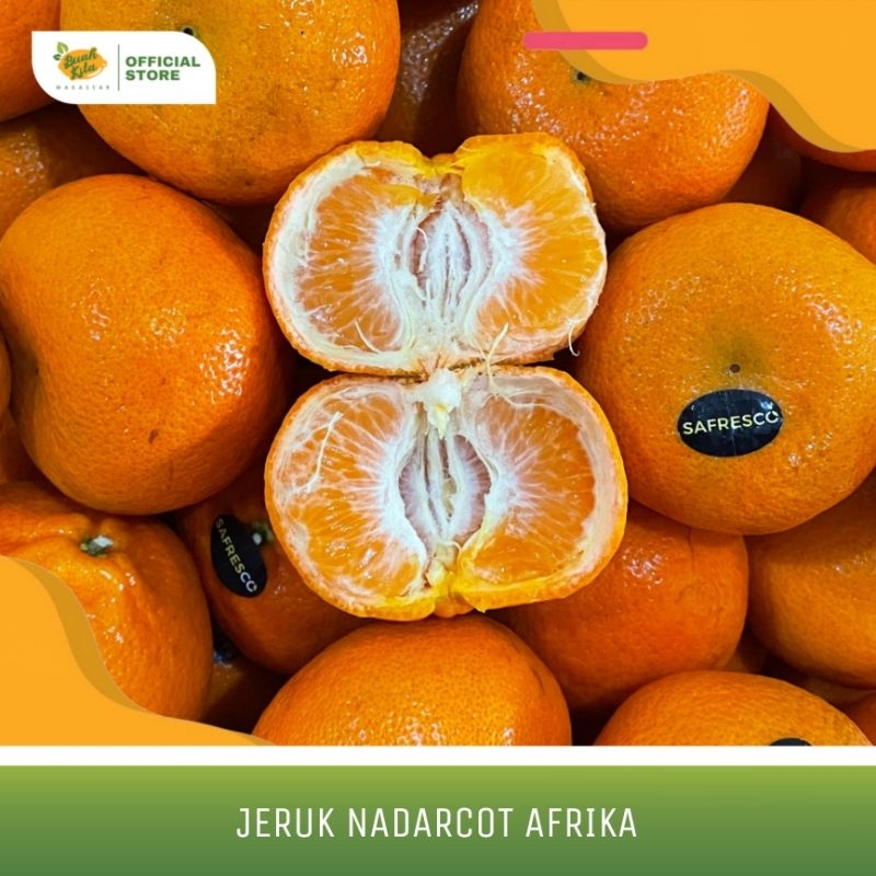 

JERUK NADARCOT AFRIKA IMPORT