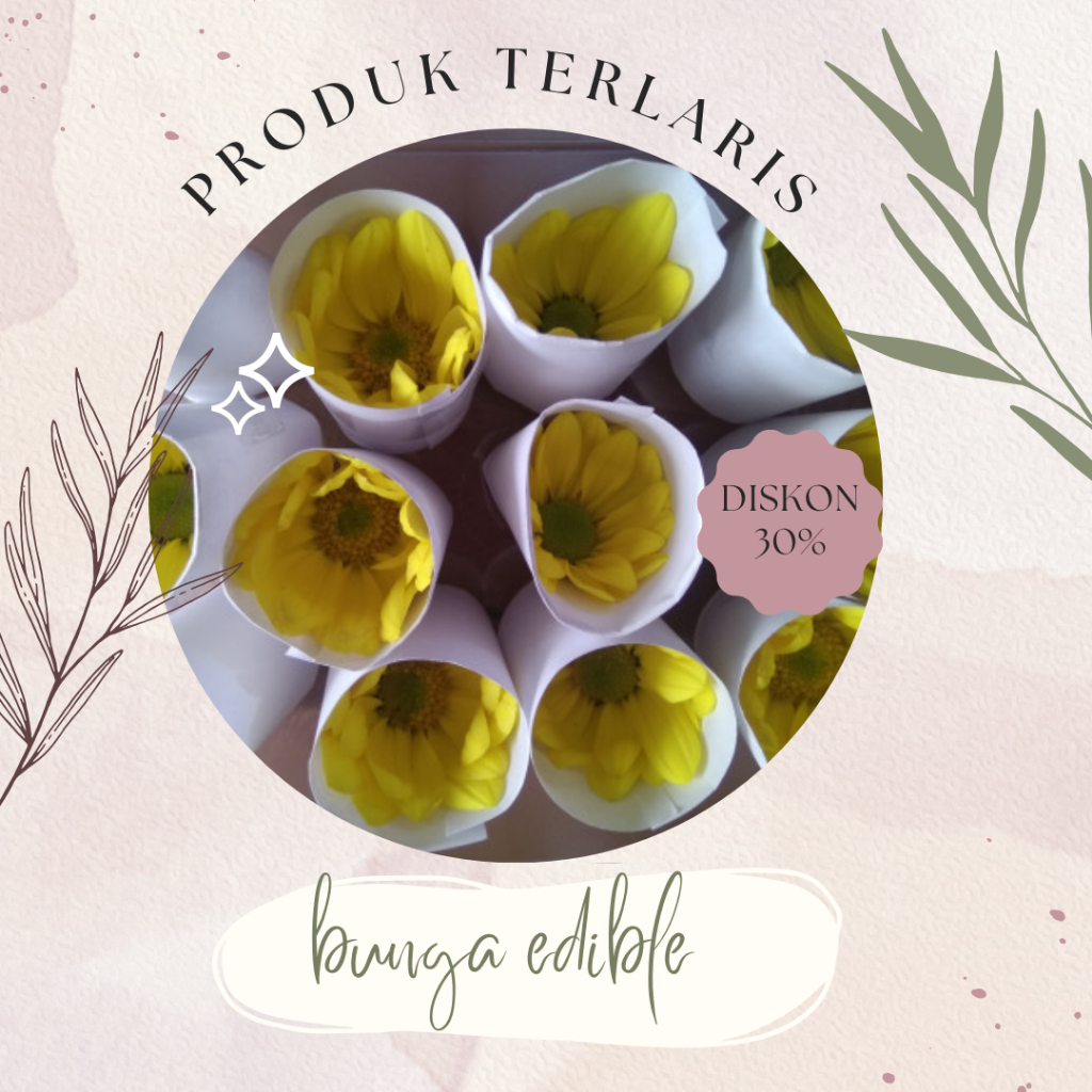

EDIBLE FLOWER CHRISANTEMUN PRODUK TERBARU