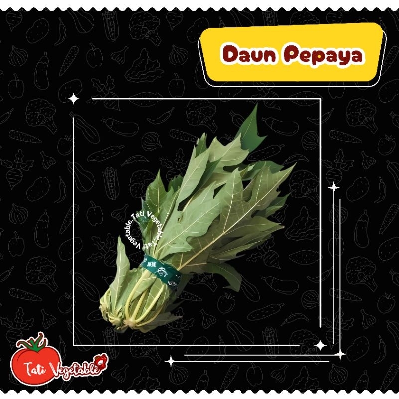 

Daun Pepaya Hijau Segar || Sayuran Segar - Tati Vegetable - Groceries - Fresh Produce