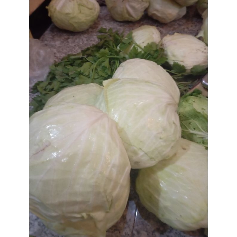 

Sayur kubis