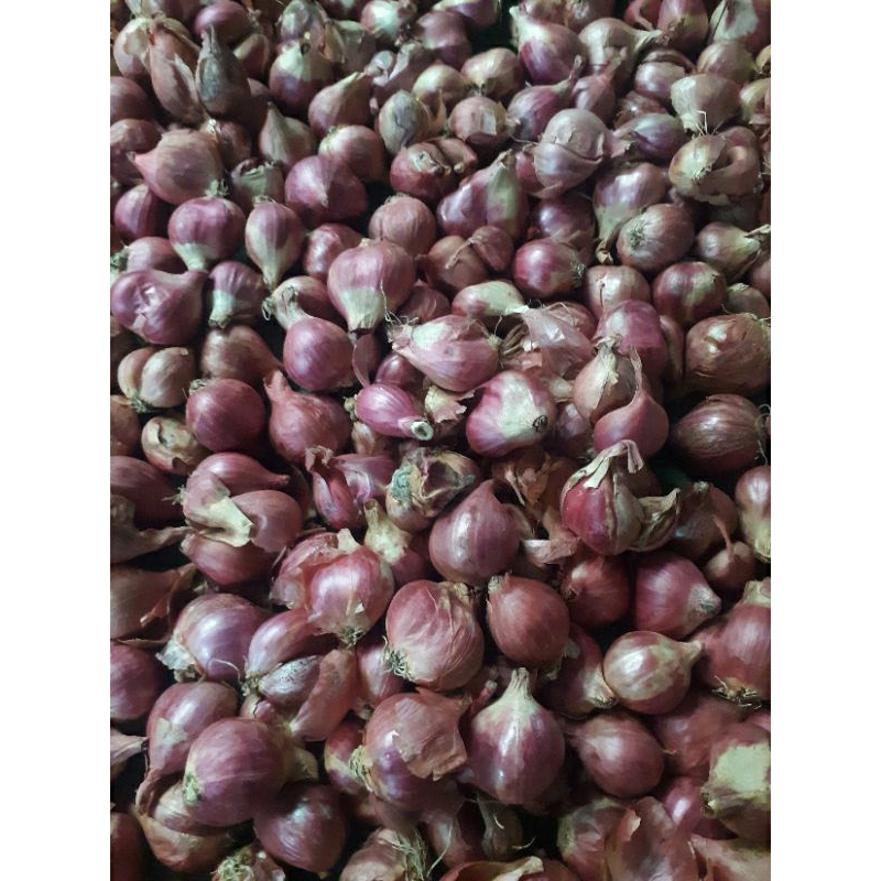 

Bawang Merah 1kg