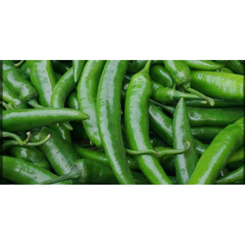 

CABE IJO besar untuk sambel ijo 1KG