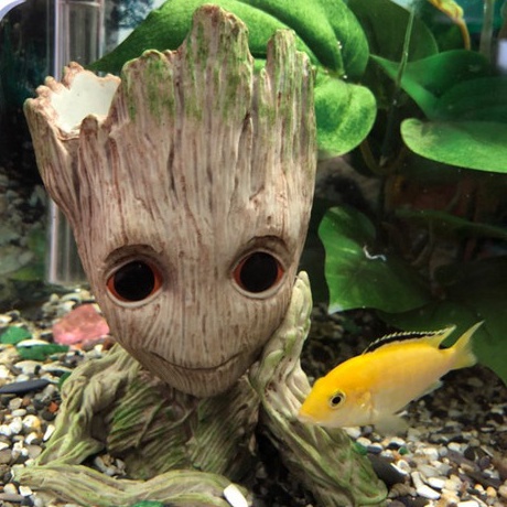 Lebih Bermanfaat  Hiasan aquarium groot dekorasi aquarium groot hiasan groot miniatur groot hiasan g