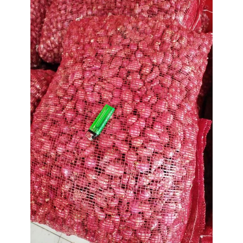 

bawang merah murah
