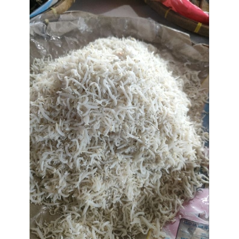 

Teri Nasi Asin